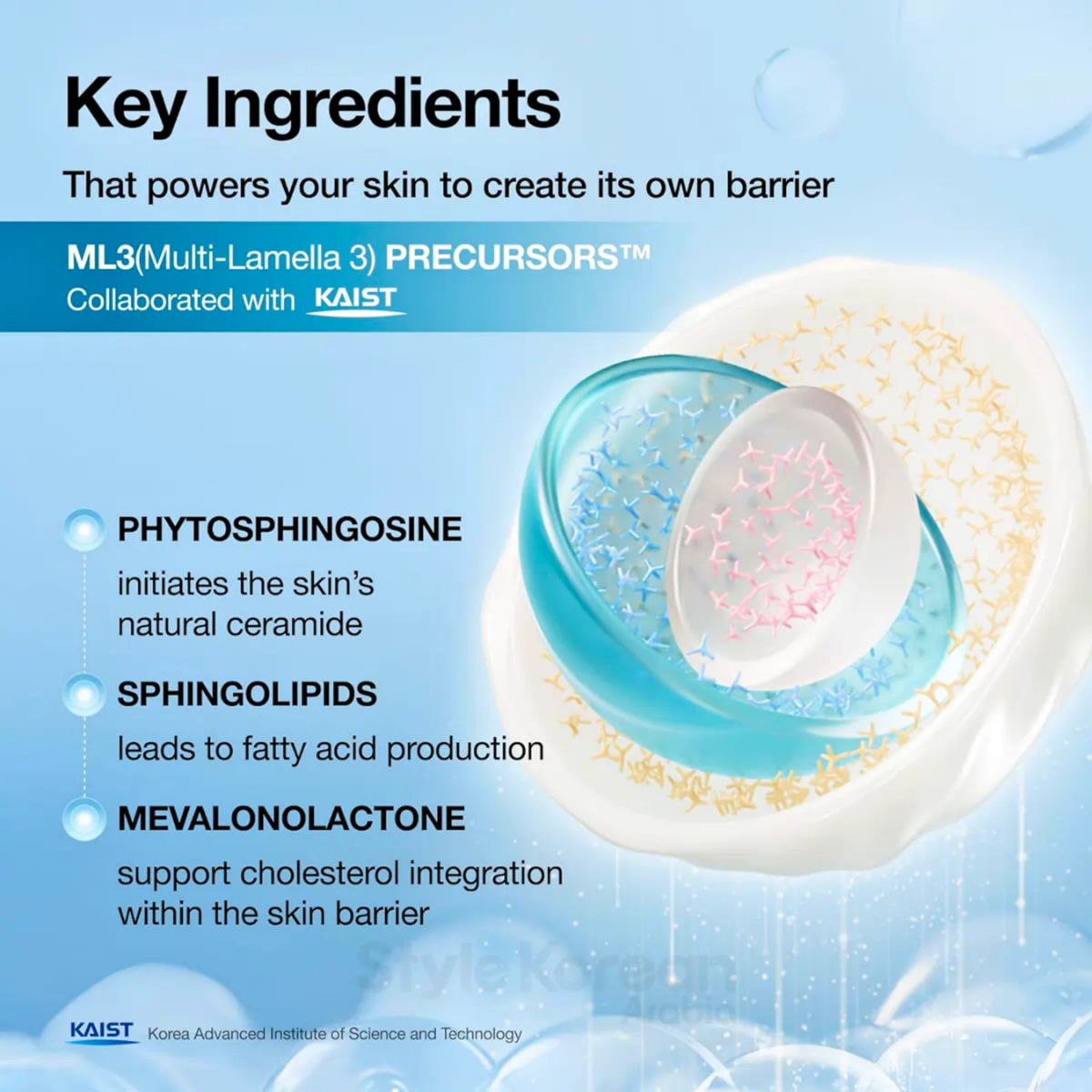 Im;poted ANUA - Barrier Reboot Intensive Cream 
