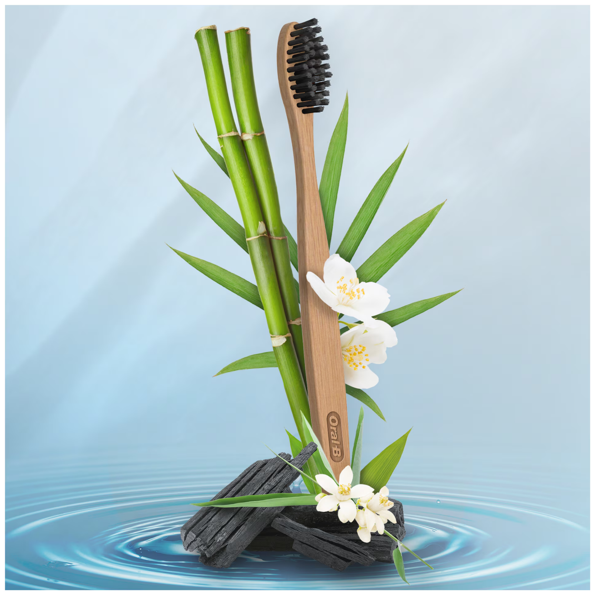 Impoted Oral-B Charcoal Bamboo Toothbrush 