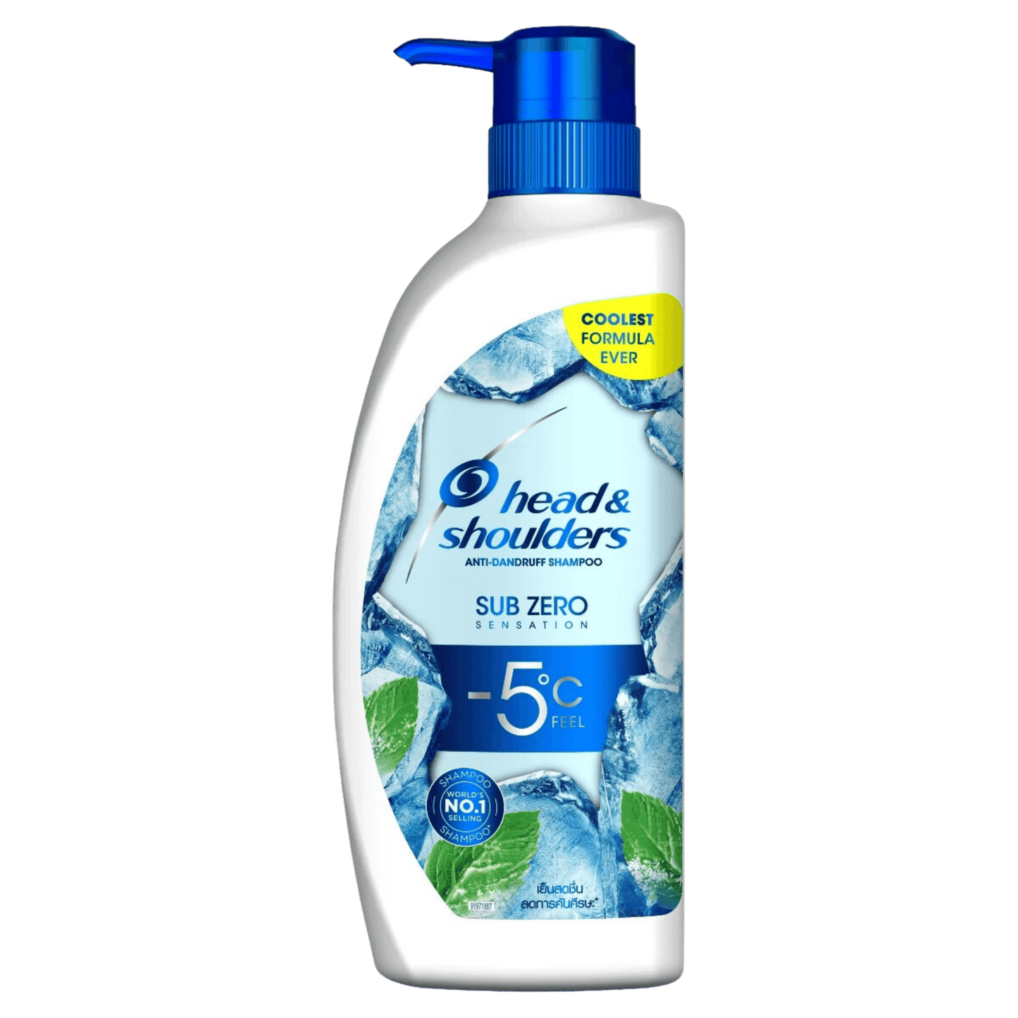 Head & Shoulders Shampoo (480ml)