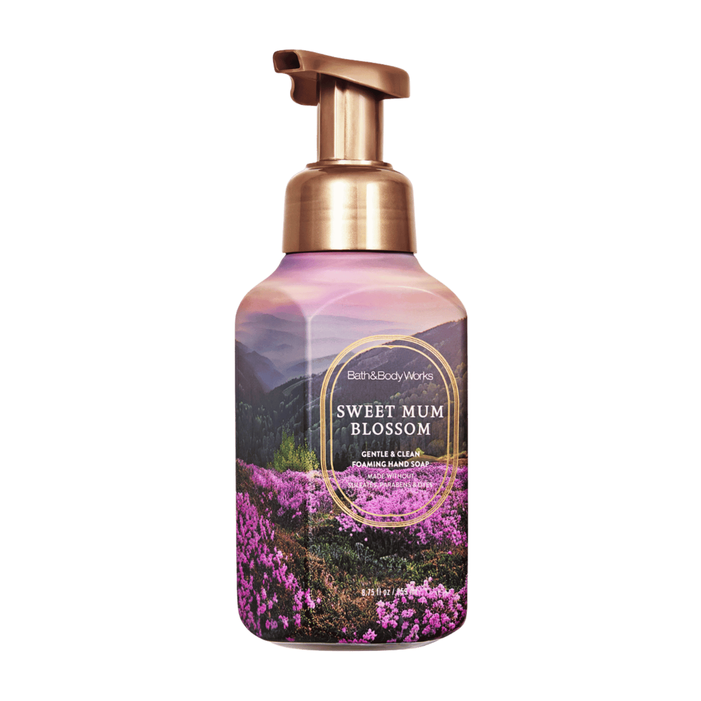 Bath & Body Works Gentle & Clean Foaming Hand Wash (259ml)