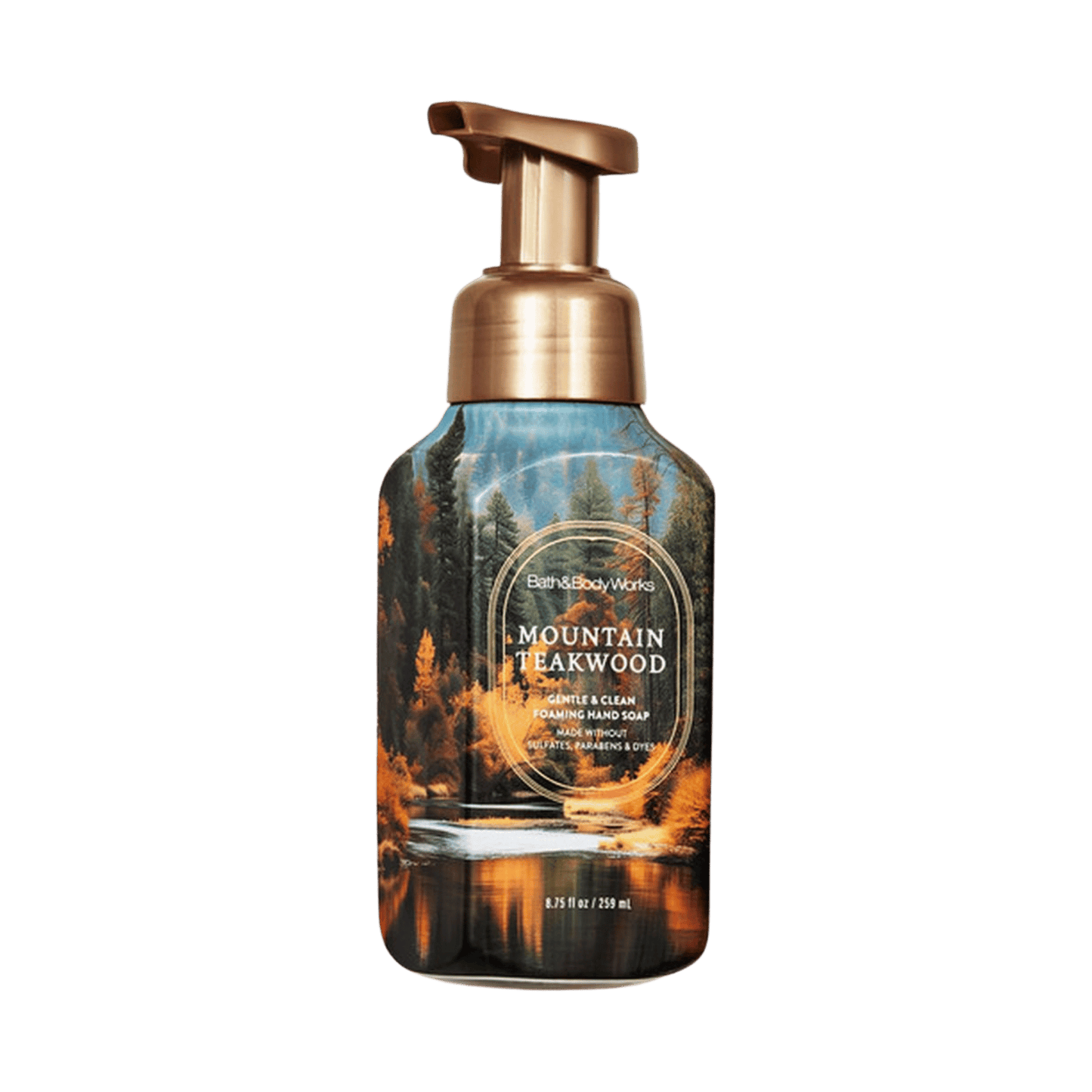 Bath & Body Works Gentle & Clean Foaming Hand Wash (259ml)