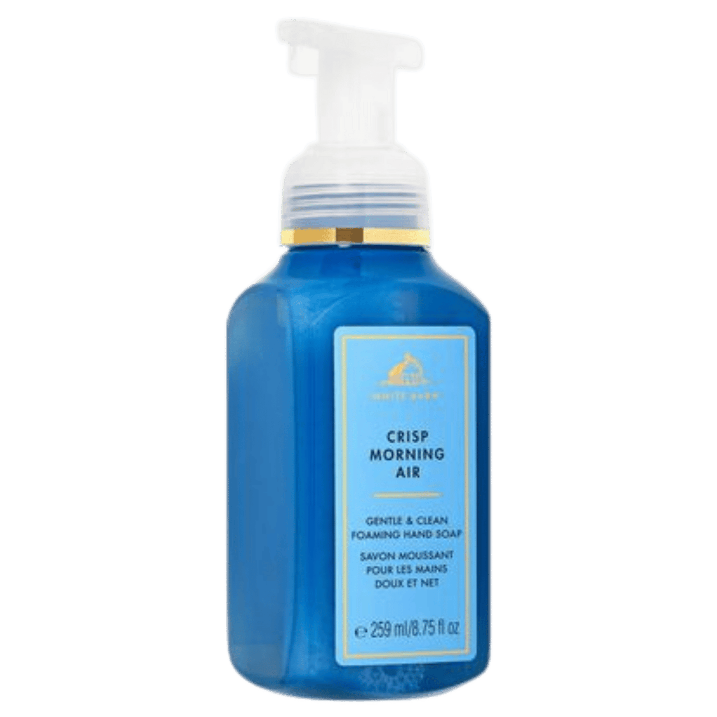 Bath & Body Works Gentle & Clean Foaming Hand Wash (259ml)