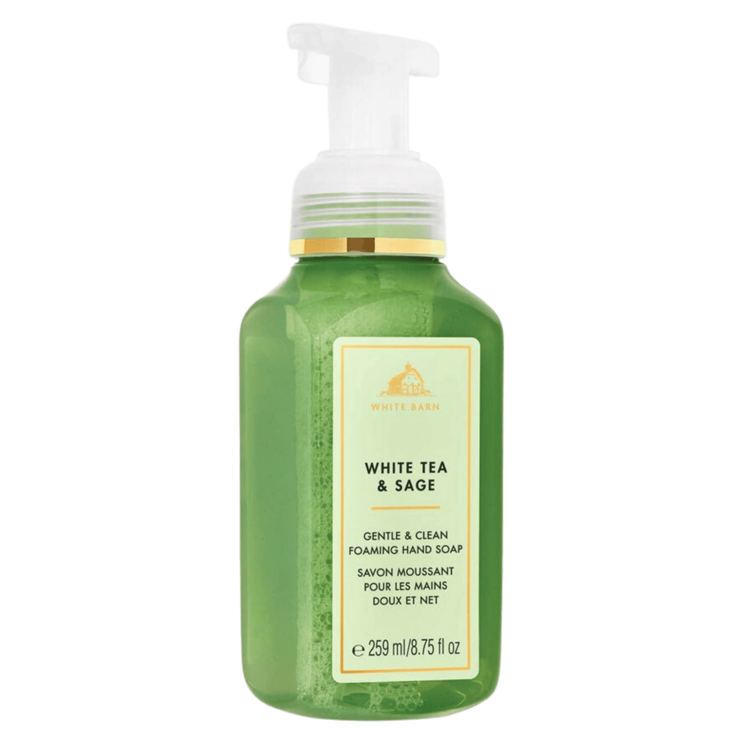 Bath & Body Works Gentle & Clean Foaming Hand Wash (259ml)