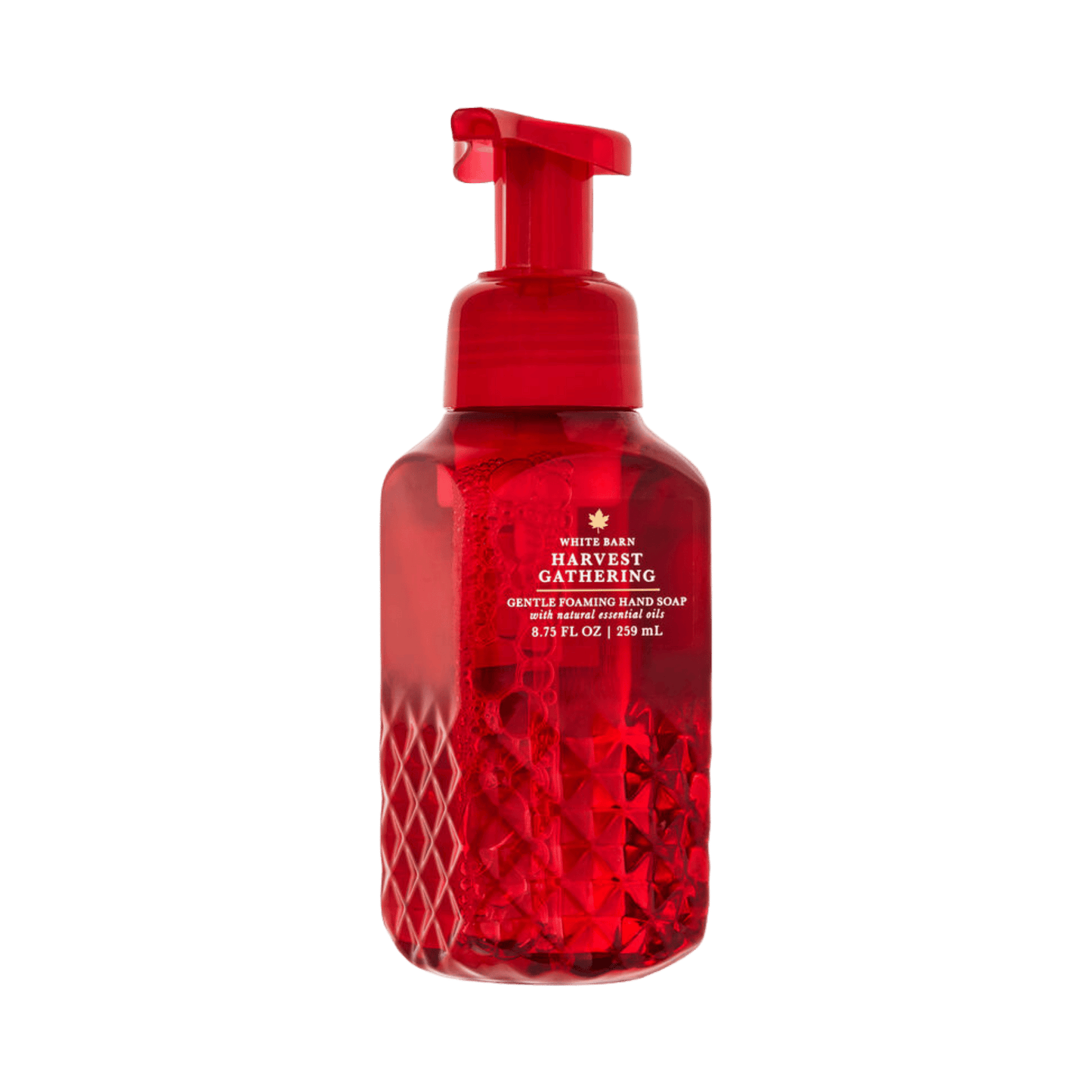 Bath & Body Works Gentle & Clean Foaming Hand Wash (259ml)