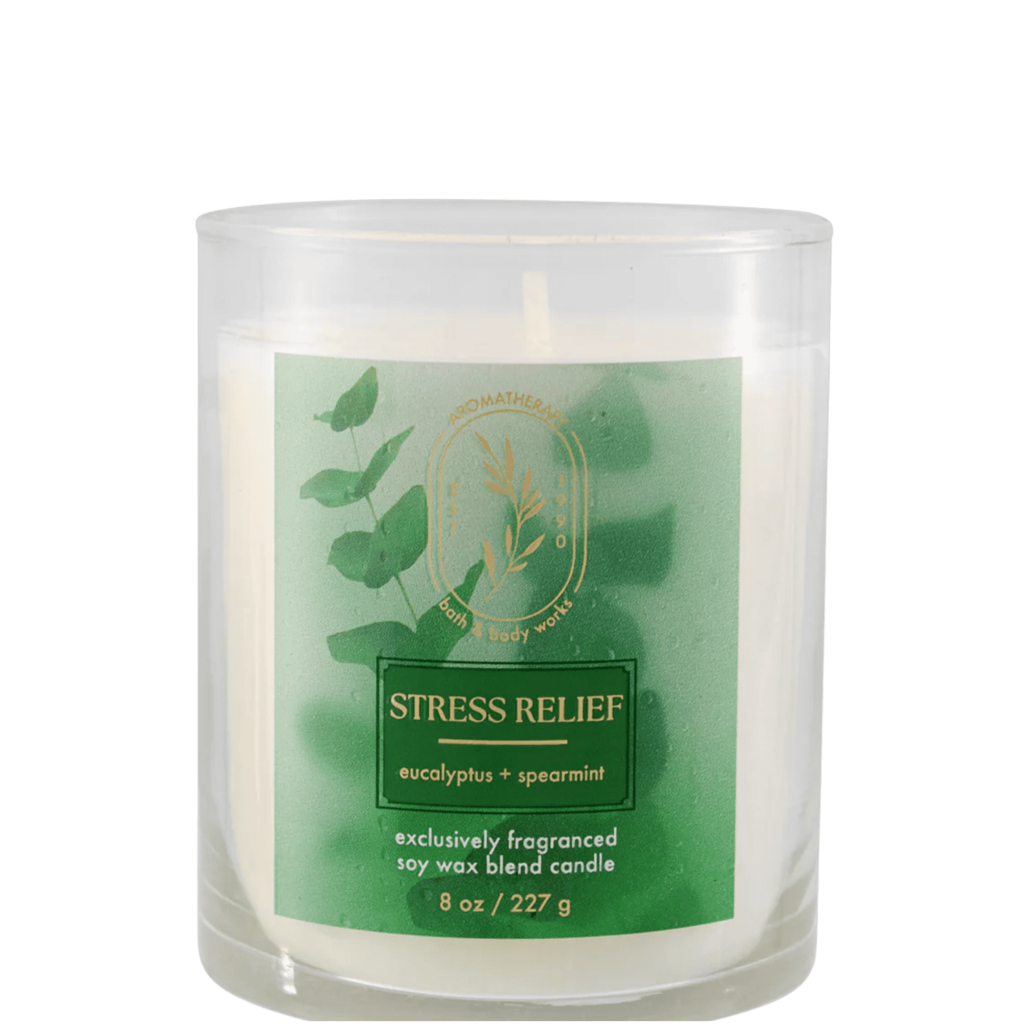 Bath & Body Works Candle (227g)