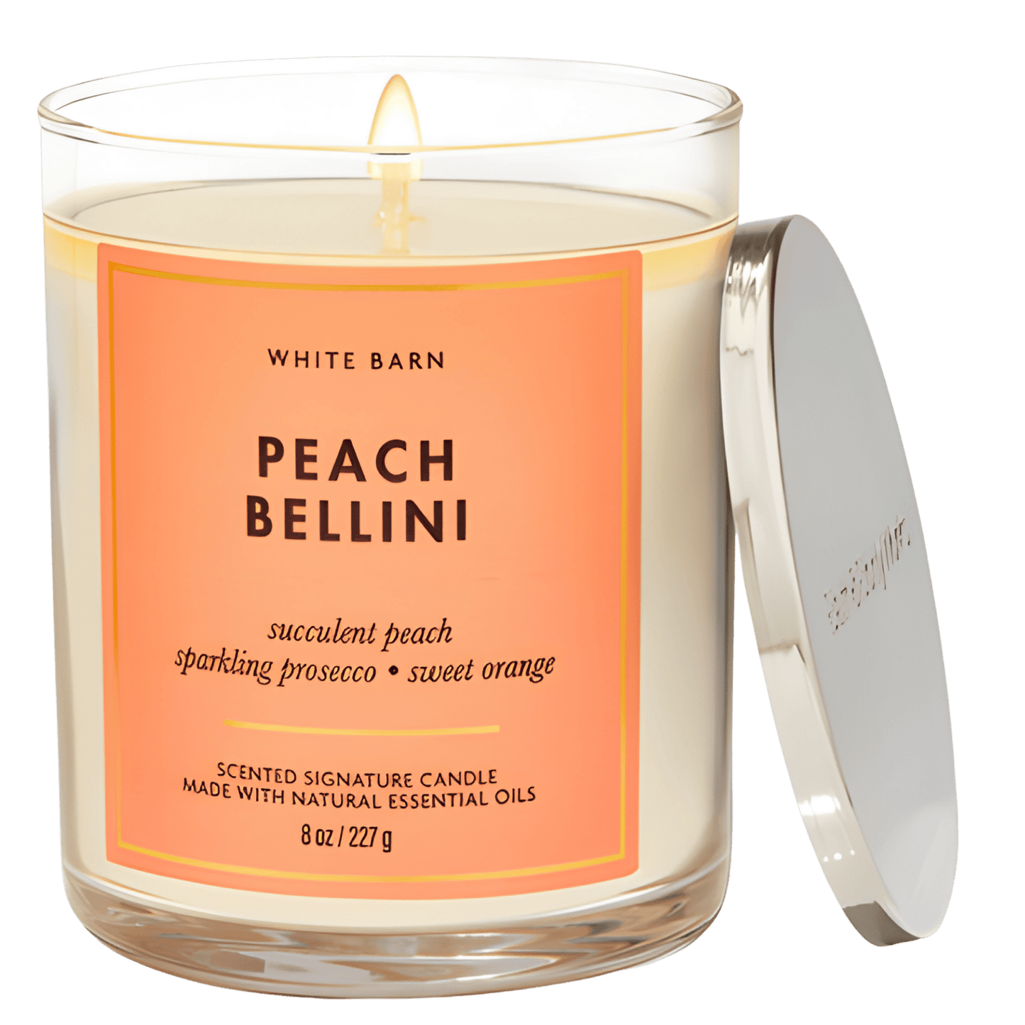 Bath & Body Works Candle (227g)