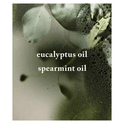 Bath & Body Works Eucalyptus Spearmint Sugar Body Scrub (368g)