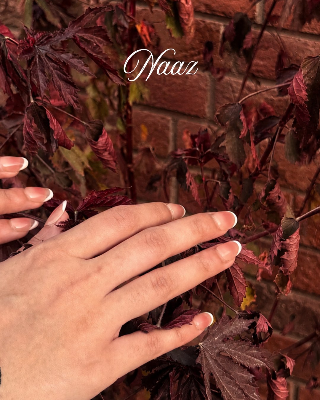Minimani Naaz blush press-on nails worn on hand