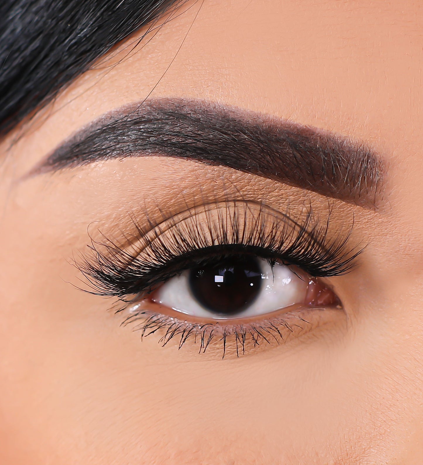 3D Mink - Peek - Lurella Cosmetics