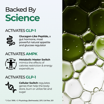 Berberine HCL backed by science activating GLP-1 and AMPK for glucose metabolism and fat burning