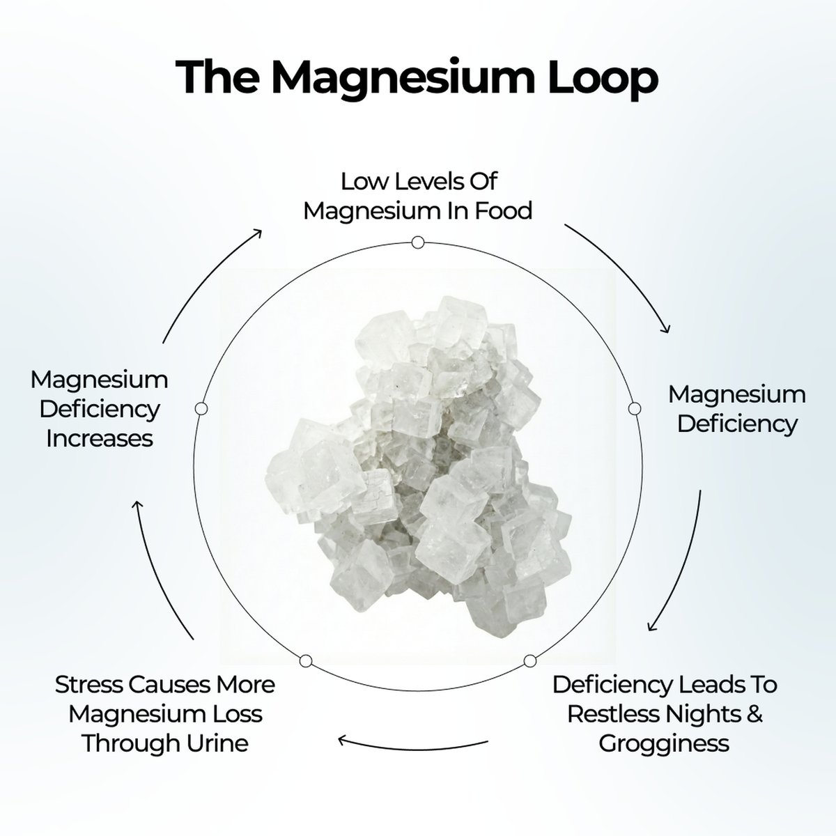 The magnesium loop infographic showing how stress and deficiency affect magnesium levels
