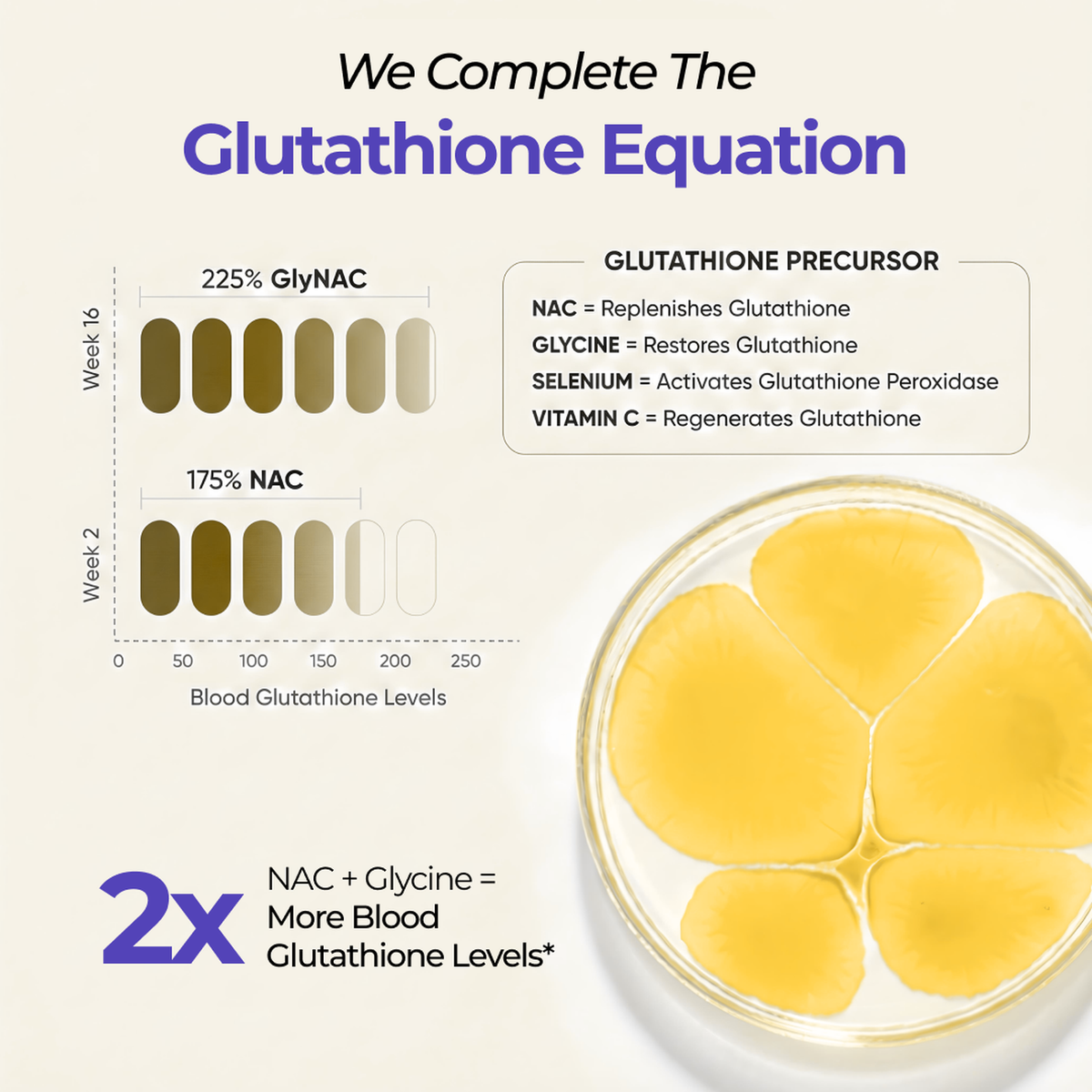 The glutathione equation showing how NAC and glycine complete glutathione production