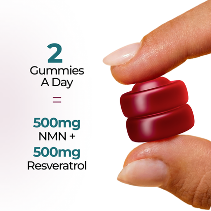 Two Vitalis Living NMN gummies a day equals 500mg NMN and 500mg resveratrol held in hand