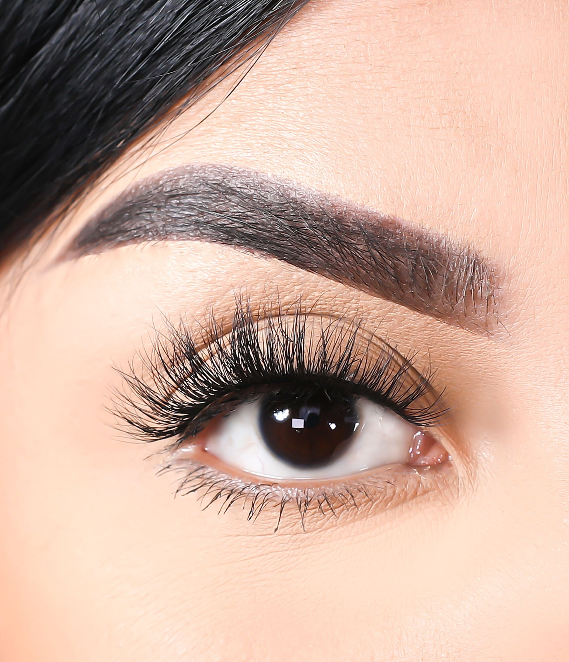 3D Mink - Wolves - Lurella Cosmetics
